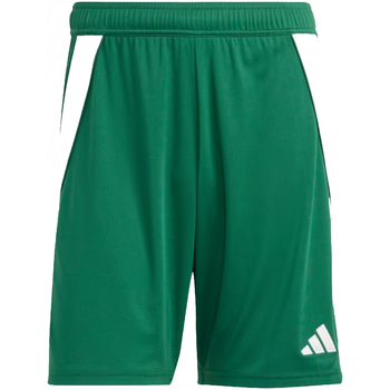 Textil Homem Shorts / Bermudas adidas boots Originals IS1410 Verde