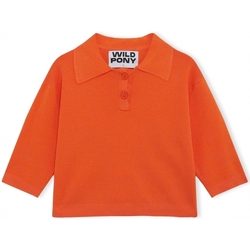 Textil Mulher camisolas Wild Pony Malha 10604 - Orange Laranja