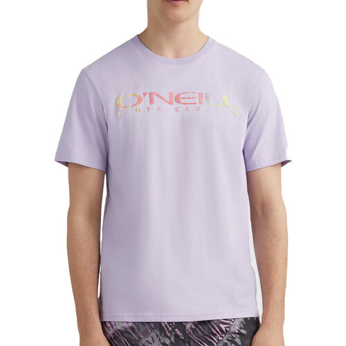 Textil Homem A great extra layer to throw over your hoodies and long-sleeved tops this season O'neill  Violeta