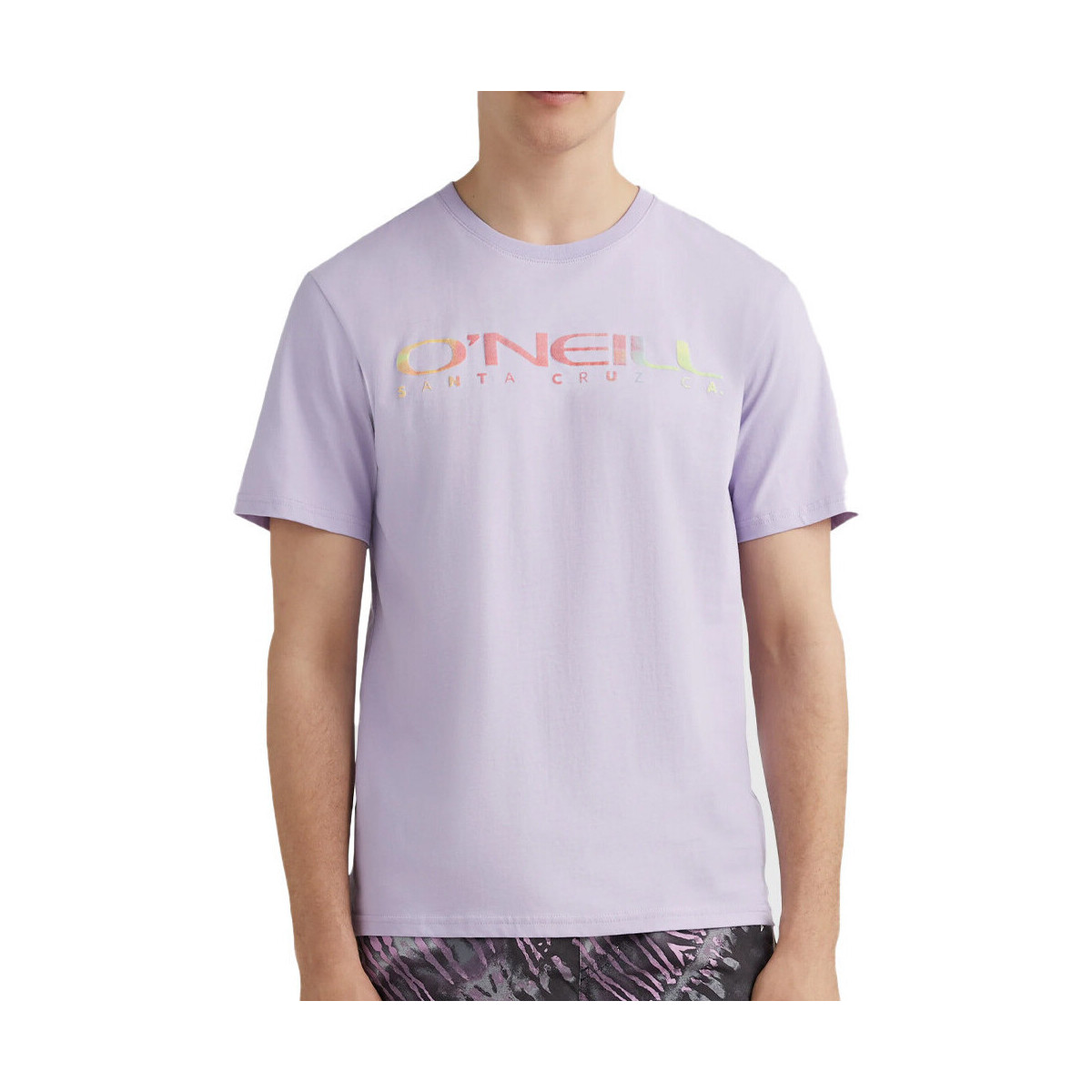 Textil Homem T-shirts e Pólos O'neill  Violeta