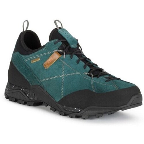 Sapatos Mulher Sapatos de caminhada Aku Nativa Gtx Preto, Verde