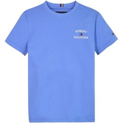 Textil Rapaz T-shirt mangas compridas Tommy Hilfiger KB0KB08807 Azul