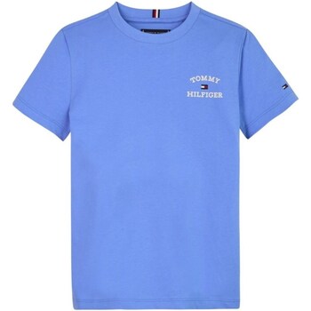 Textil Rapaz T-shirt Shirt mangas compridas Tommy Hilfiger KB0KB08807 Azul