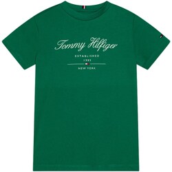 Textil Rapaz T-shirt mangas compridas Tommy Hilfiger KB0KB08803 Verde