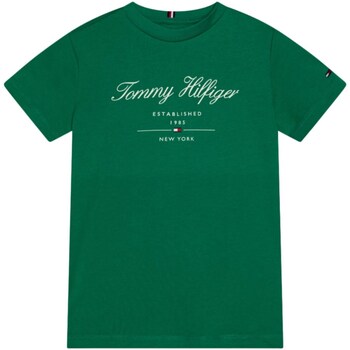 Textil Rapaz T-shirt Bear mangas compridas Tommy Hilfiger KB0KB08803 Verde