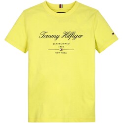 Textil Rapaz T-shirt mangas compridas Tommy Hilfiger KB0KB08803 Amarelo
