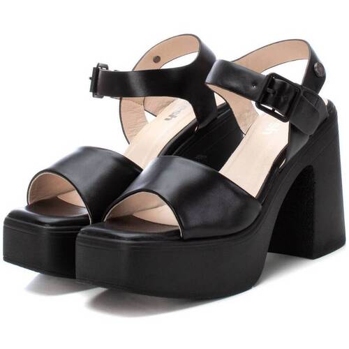 Refresh 17167801 Preto