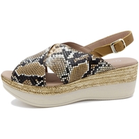 Sapatos Mulher Sandálias Gasymar 1975 Castanho
