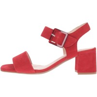 Sapatos Mulher Sandálias Ara  Vermelho