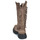 Sapatos Mulher Botas Papucei RIZZY Bege