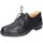 Sapatos Mulher Sapatos & Richelieu Astorflex EY785 Preto
