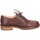 Sapatos Mulher Sapatos & Richelieu Astorflex EY786 Castanho