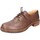 Sapatos Mulher Sapatos & Richelieu Astorflex EY789 Castanho