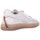 Sapatos Homem Sapatilhas Barracuda BU3355 Branco