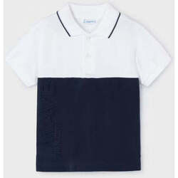 Textil Rapaz T-shirts e Pólos Mayoral 3110-86-16-17 Azul