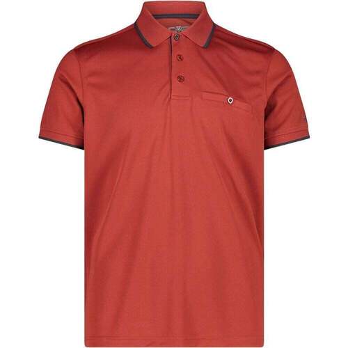 Textil Homem Camisas mangas curtas Cmp MAN POLO Bordô