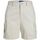 Textil Mulher Shorts telefon / Bermudas Jjxx 12225955 HOLLY CARGO SHORTS-MOONBEAM Bege