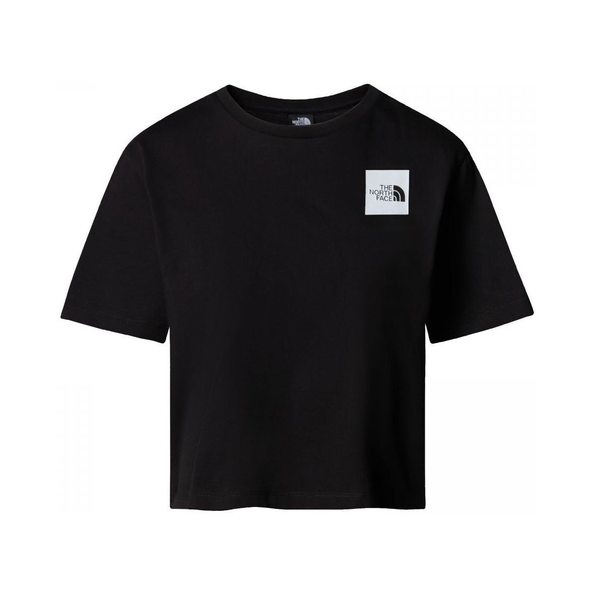 Textil Mulher T-shirts e Pólos The North Face NF0A87NB W S/S CROPPED FINE-JK3 Preto