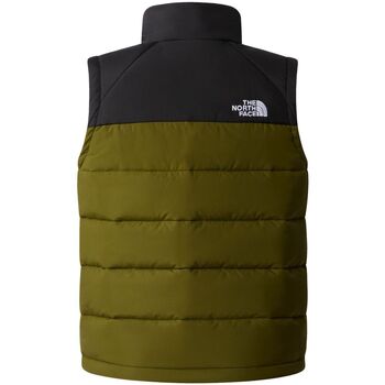 The North Face NF0A89Q0 CIRCULAT VEST-RMO FOREST OLIVE Verde