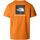 Textil Homem T-shirts e Pólos The North Face NF0A87NP M SS BOX NSE TEE-PCO ORANGE Laranja