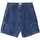 Textil Homem Shorts / Bermudas Obey Bigwig baggy denim cargo short Azul