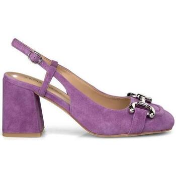 Sapatos Mulher Escarpim Misturar e combinar V240323 Violeta