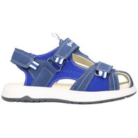 Sapatos Rapaz Sandálias Garvalin 242850 Niño Azul marino Azul