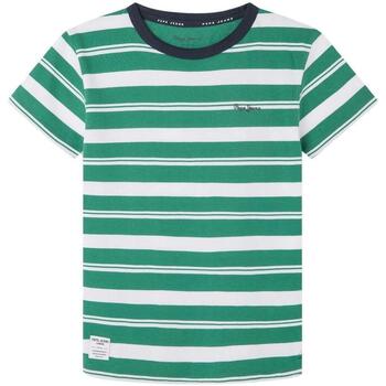 Textil Rapaz T-shirts e Pólos Pepe JEANS logo-print  Verde