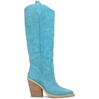 Sapatos Mulher Botas ALMA EN PENA V240103 Azul