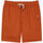 Textil Homem Shorts / Bermudas Oxbow Short chino ONAGHEL Castanho