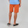 Textil Homem APE Shorts / Bermudas Oxbow Short chino ONAGHEL Castanho