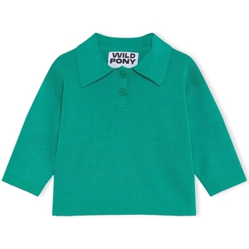 Textil Mulher camisolas Wild Pony Malha 10603 - Green Verde