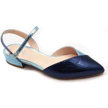 Sapatos Mulher Sapatos & Richelieu Angari  Azul