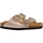 Sapatos Mulher Chinelos Scholl 231412 Bege