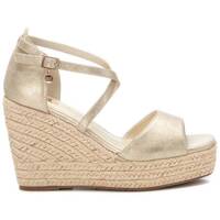 Sapatos Mulher Sandálias Xti 14243804 Ouro