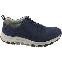 Sapatos Homem Sapatilhas Pius Gabor 8005.11.01 Azul