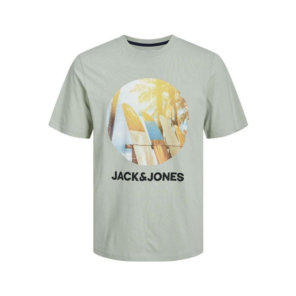 Textil Rapaz T-shirts e Pólos Jack & Jones 12249870 NAVIN-DESERT SAGE Verde