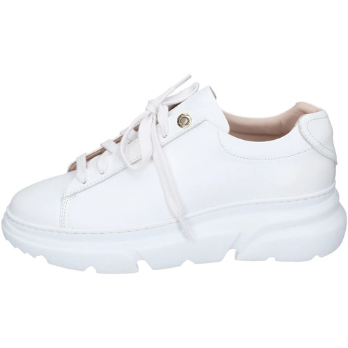 Sapatos Mulher Sapatilhas Stokton EY883 Branco