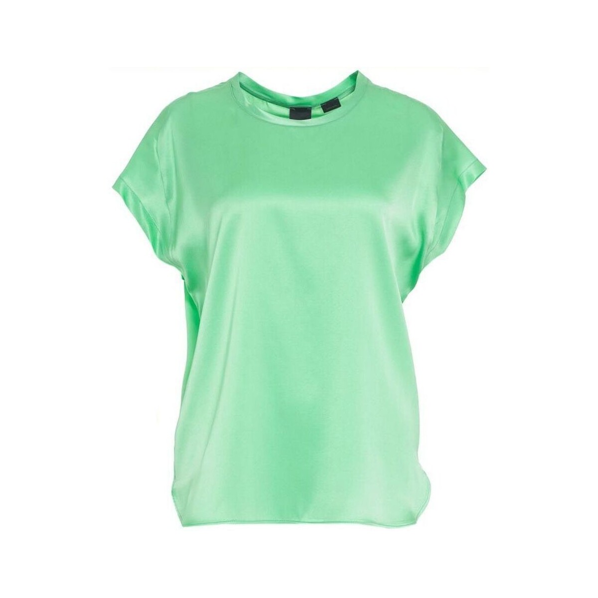 Textil Mulher camisas Pinko FARIDA 100100 A1RJ-T38 Verde