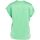 Textil Mulher camisas Pinko FARIDA 100100 A1RJ-T38 Verde