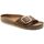 Sapatos Mulher Sandálias Birkenstock MADRID BIG BUCKLE 1006525-COGNAC Castanho