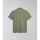 Textil Homem T-shirts e Pólos Napapijri E-AYLMER NP0A4HTN-GAE GREEN LIVHEN Verde