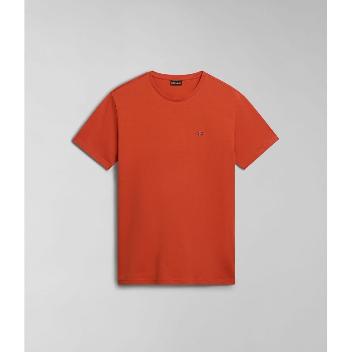 Textil Homem T-shirts e Pólos Napapijri SALIS SS SUM NP0A4H8D-621 BURNT RANGE Laranja
