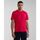 Textil Homem T-shirts e Pólos Napapijri SALIS SS SUM NP0A4H8D-R25 RED BARBERRY Vermelho