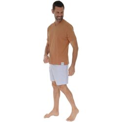 Textil Homem Pijamas / Camisas de dormir Pilus FARELL Castanho