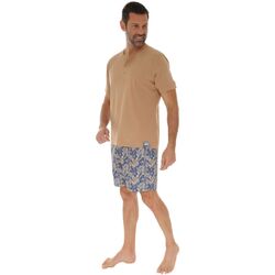 Textil Homem Pijamas / Camisas de dormir Pilus FLAVIO Castanho