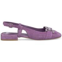Sapatos Mulher Sapatos & Richelieu Alma En Pena V240340 Violeta