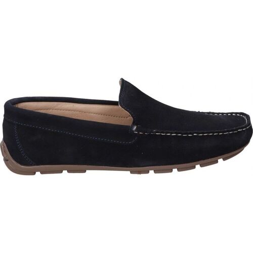 Sapatos Homem Sapatos & Richelieu Benson 83262 Azul
