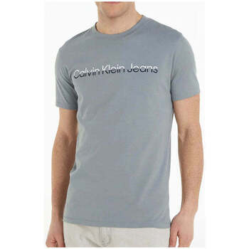 Textil Homem T-shirts e Pólos Calvin Klein Jeans J30J322511PN6-8-1 Cinza