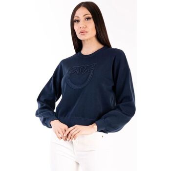 Textil Mulher camisolas Pinko ACCIUGA 101568 A115-G57 Azul